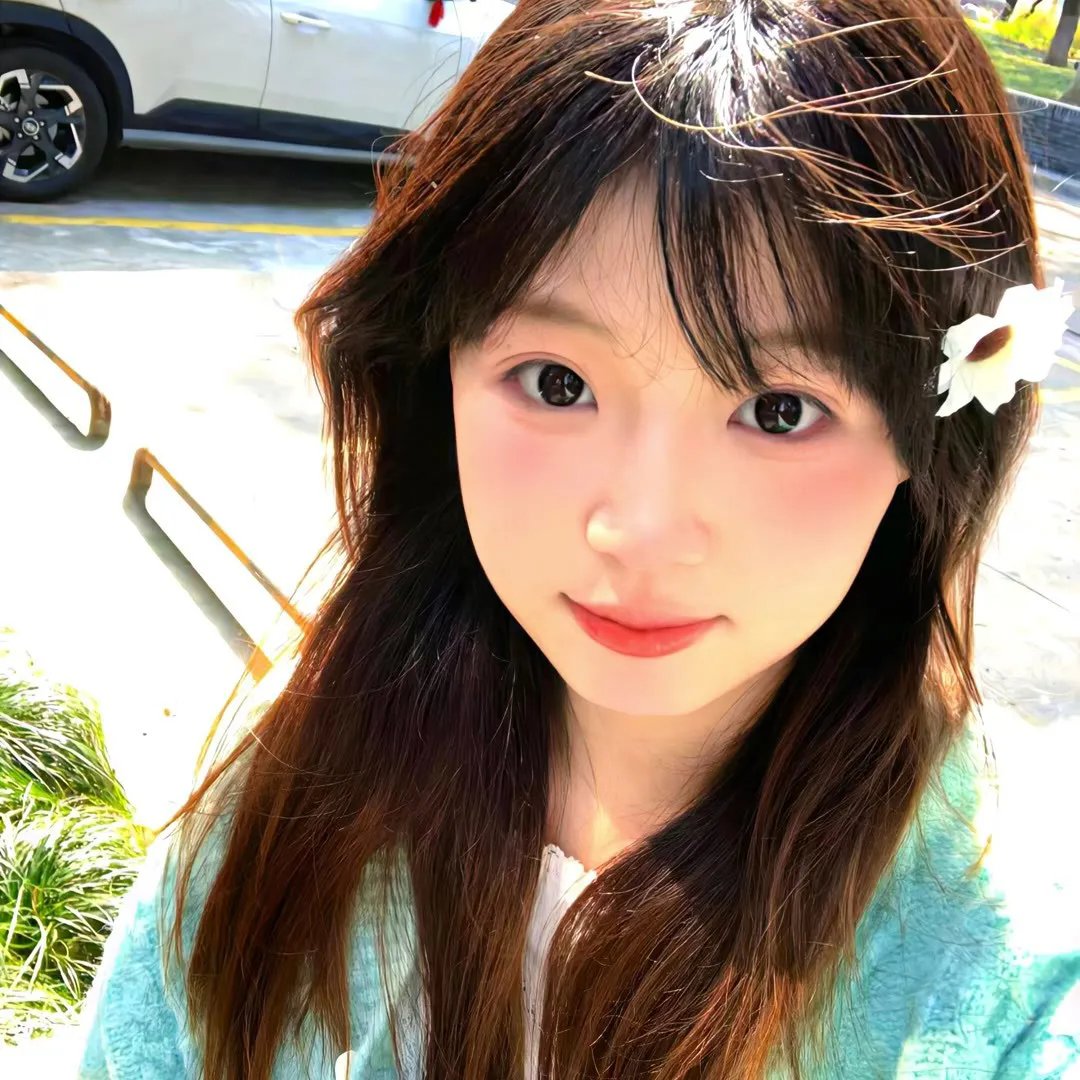 胭脂狐 海报